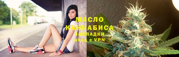 сатива Няндома