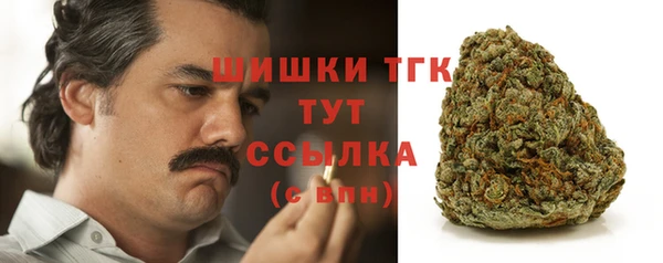 индика Валдай
