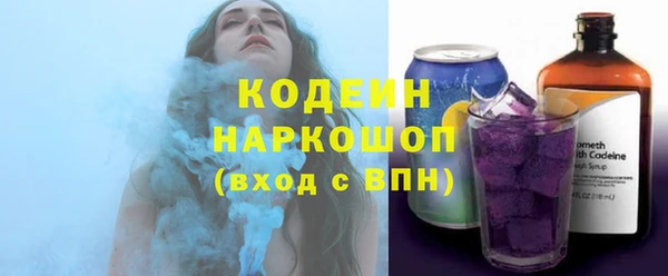 сатива Няндома