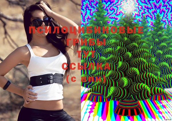 прущая мука Бутурлиновка