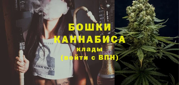 молекула духа Новокубанск