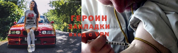сатива Няндома
